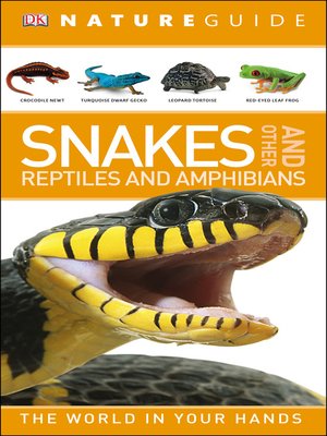 cover image of Nature Guide Snakes and Other Reptiles and Amphibians